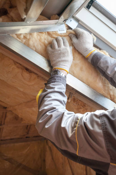 Best Residential Insulation Services  in Fremont, IN