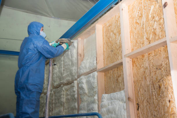 Best Crawl Space Insulation  in Fremont, IN
